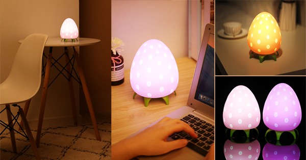 The most beautiful strawberry lamp