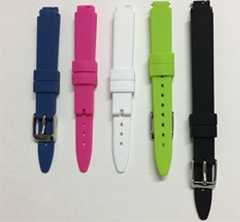 Apple watchband
