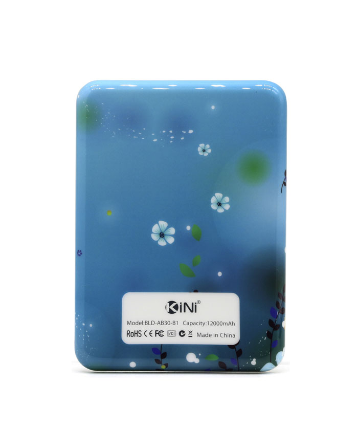 Power bank IML casing