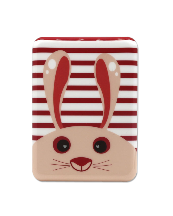 Power bank IML casing