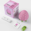 The most beautiful strawberry lamp
