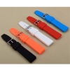 Apple watchband