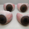 Medical teaching sample 1 - PolyJet 3D printing